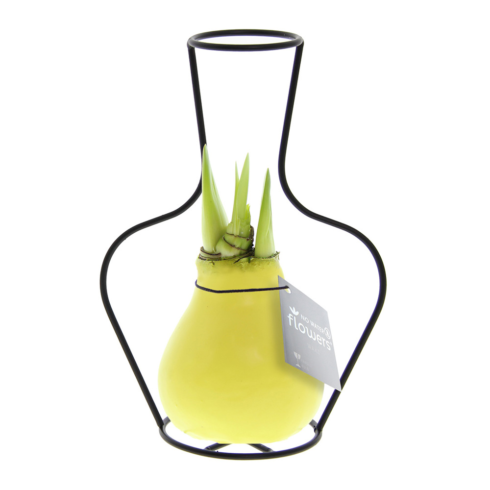 No Water Flowers® - Formz classic - Pastel geel