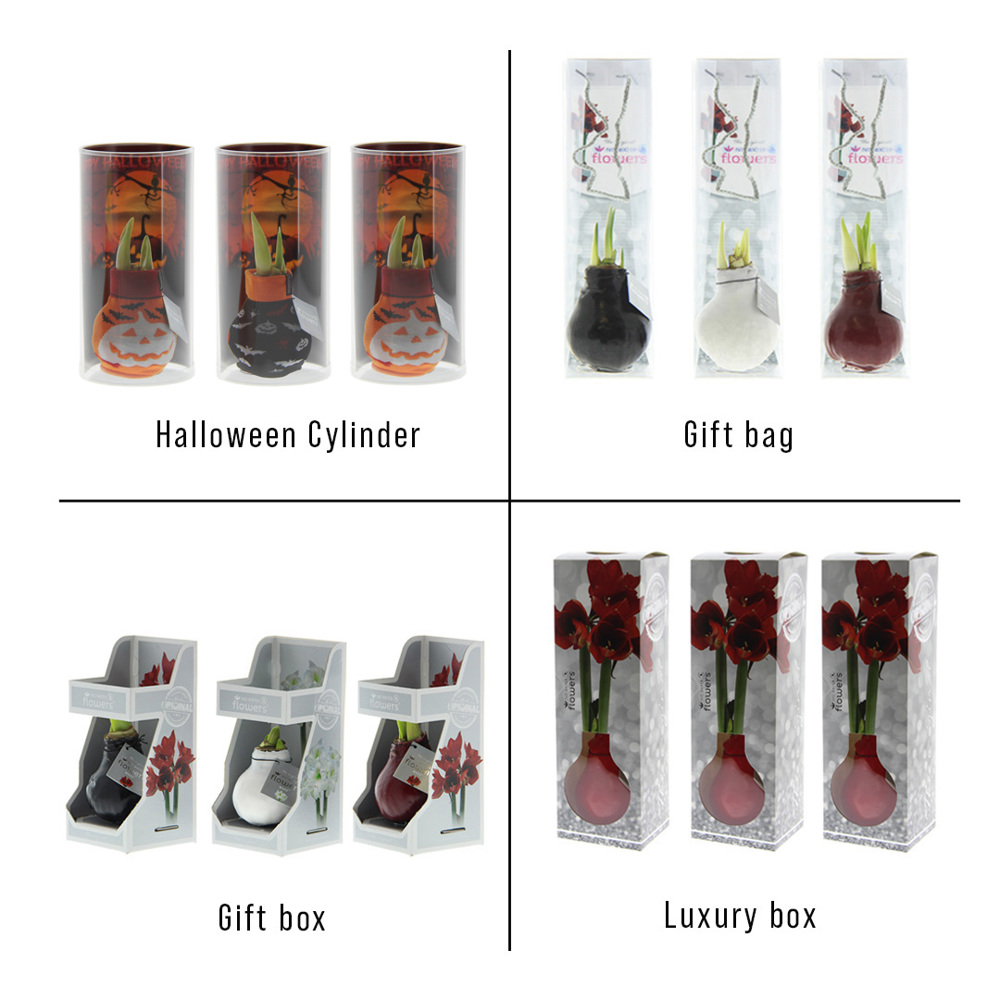 No Water Flowers® - Fashionz Halloween mix, In giftbox