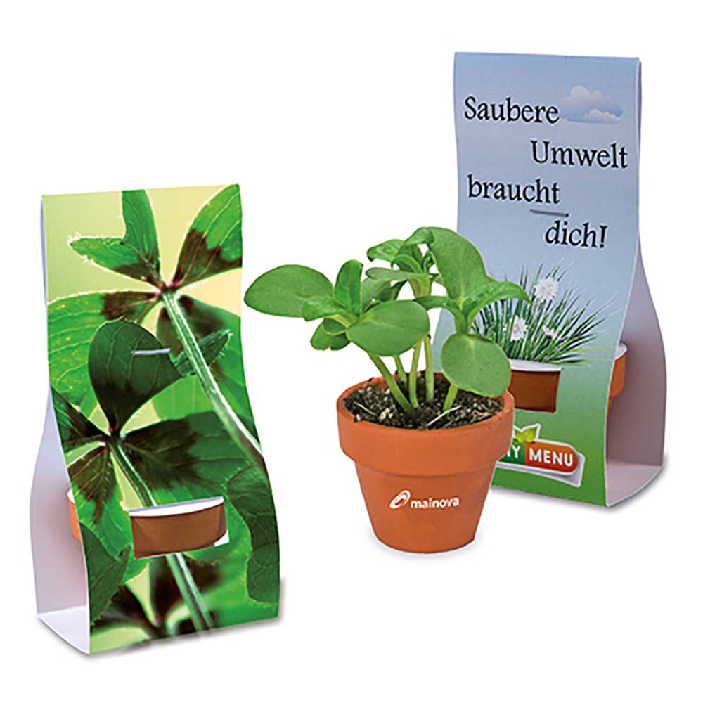 Mini bloempotje hand-over verpakking - Klavertje Vier