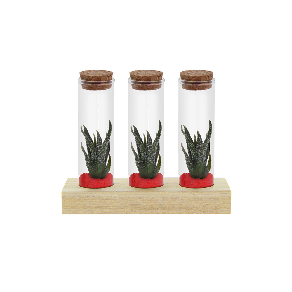 Tiny Treasurez® - Trio tube & wood - Rood
