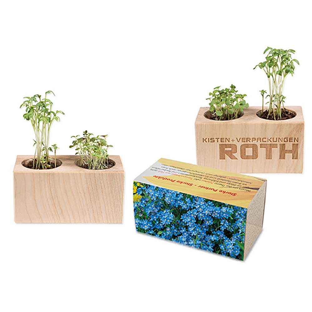 Houten plantenset dubbel met zaden - individueel
