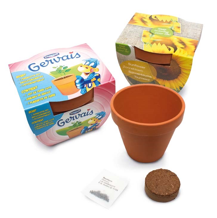 Terracotta pot maxi, Peterselie