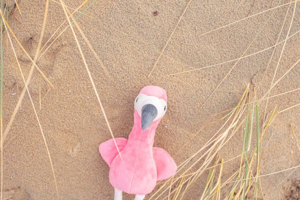 Pluche flamingo Alicia