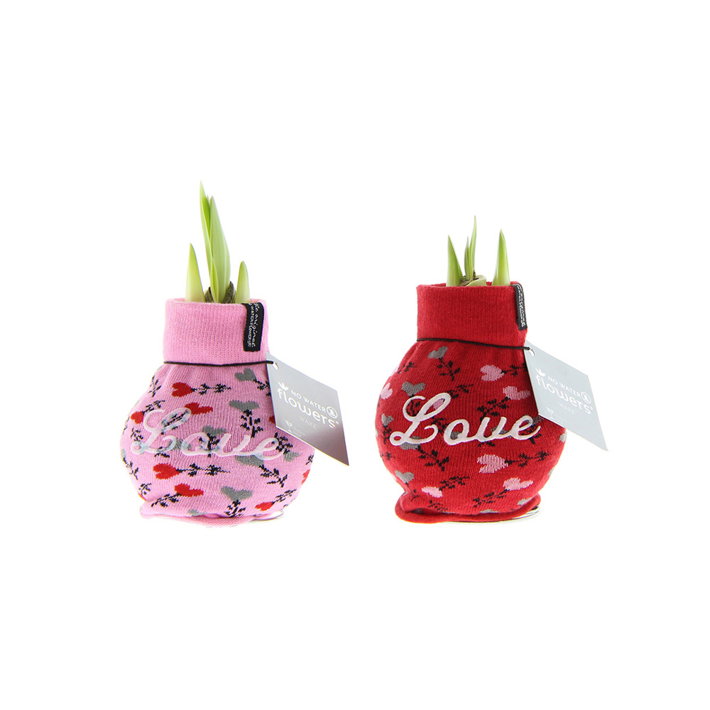 No Water Flowers® - Fashionz Love mix