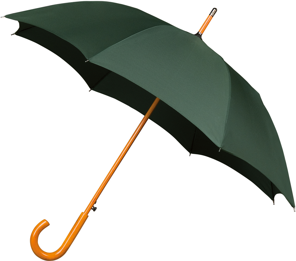 FALCONE - Compact - Automaat - Windproof -  102 cm - Donker groen (± PMS 5535C)