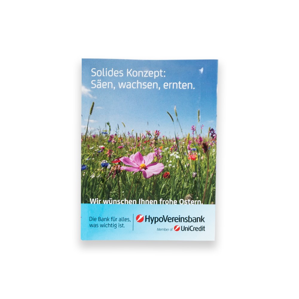 Zaadzakje L, zonnebloem