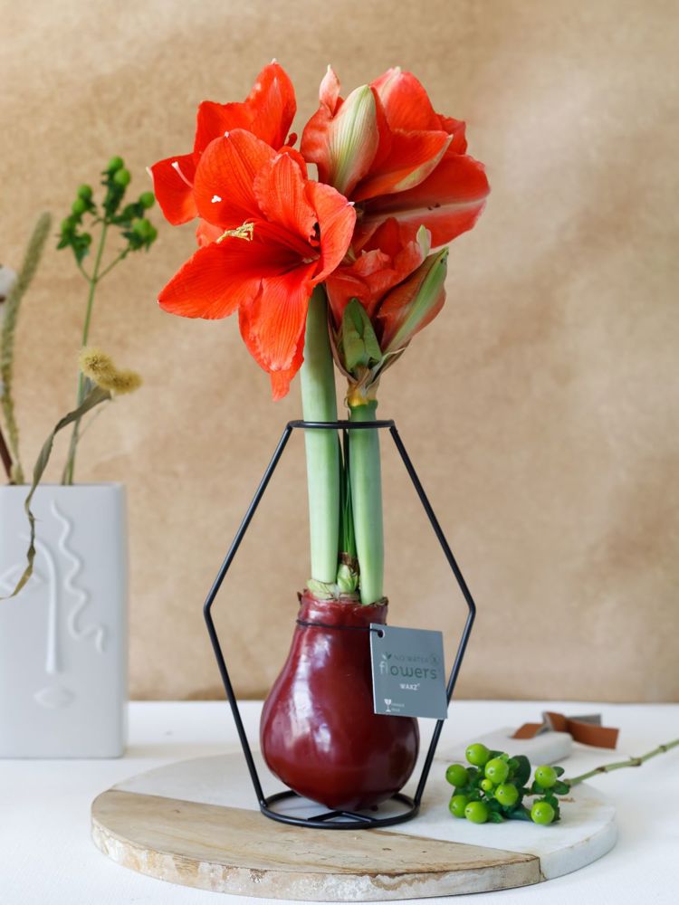 No Water Flowers® - Formz modern, Zonder verpakking, Donkergroen