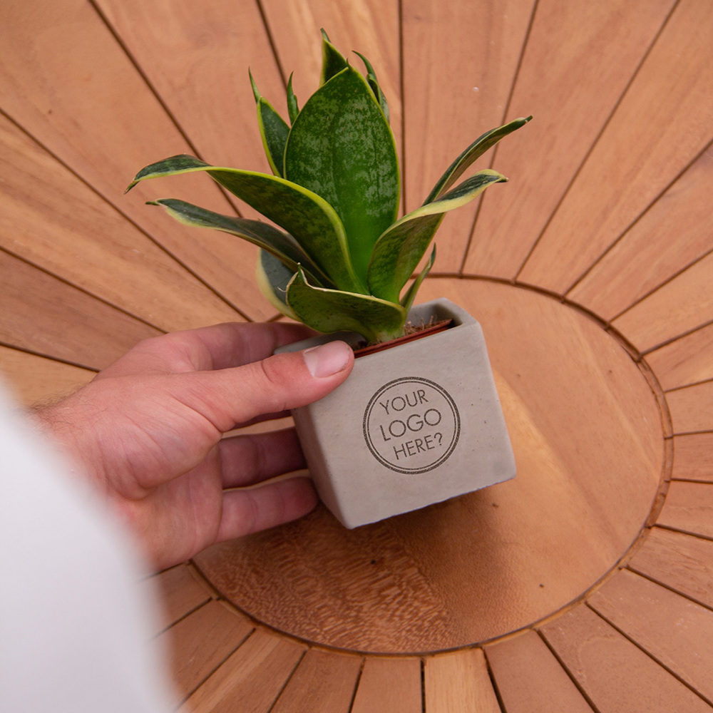 Congreet® plantpots small, In giftbox