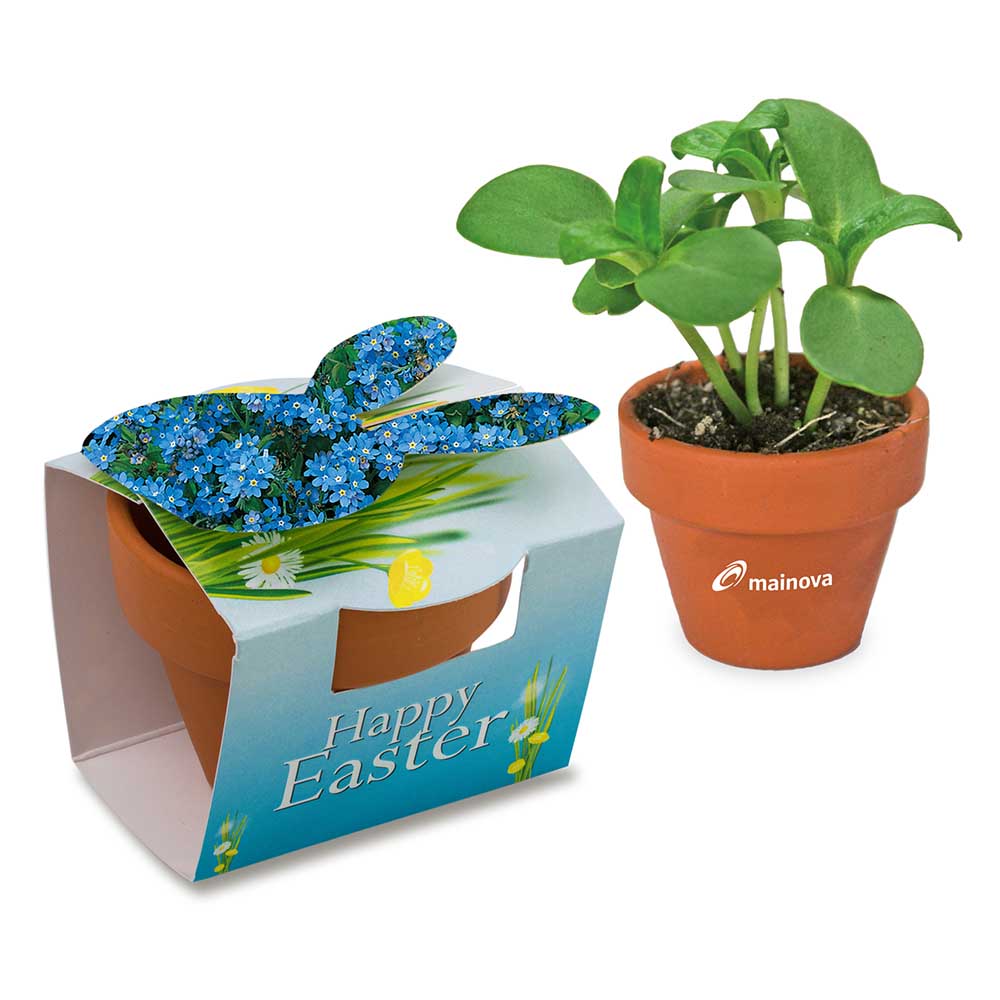 Mini plantenpot konijn met zaden - individueel
