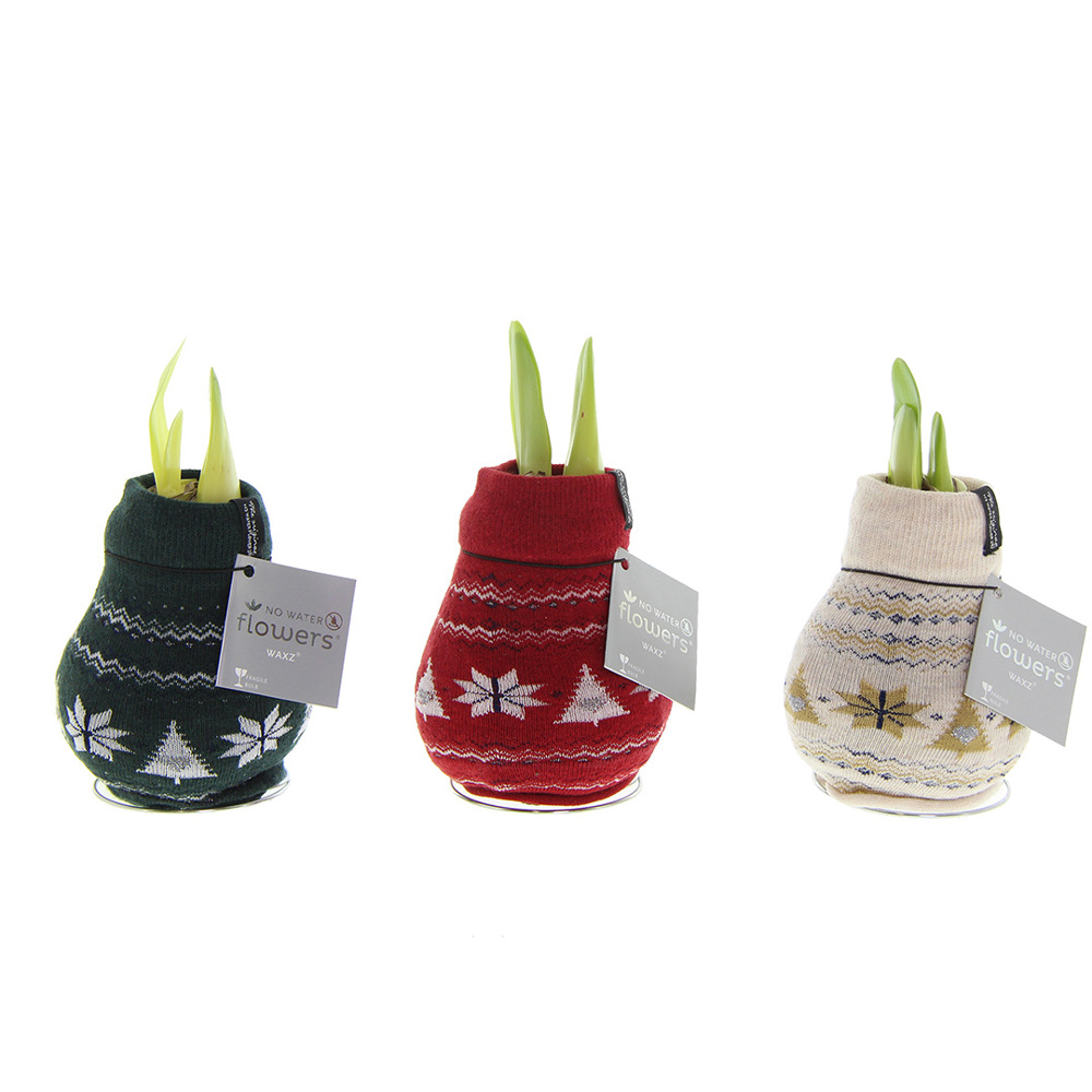 No Water Flowers® - Fashionz Nordic mix