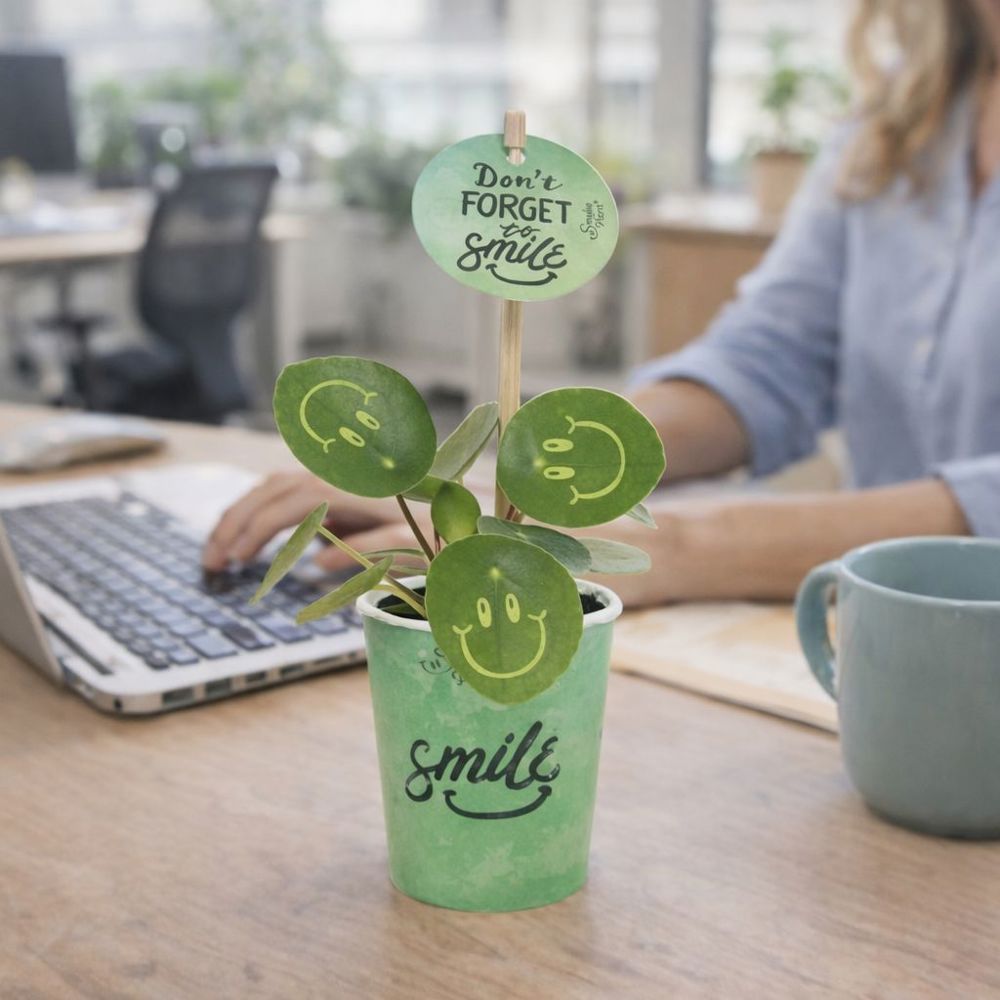 Smylieplant® - Happy in papercup (small), In giftbox