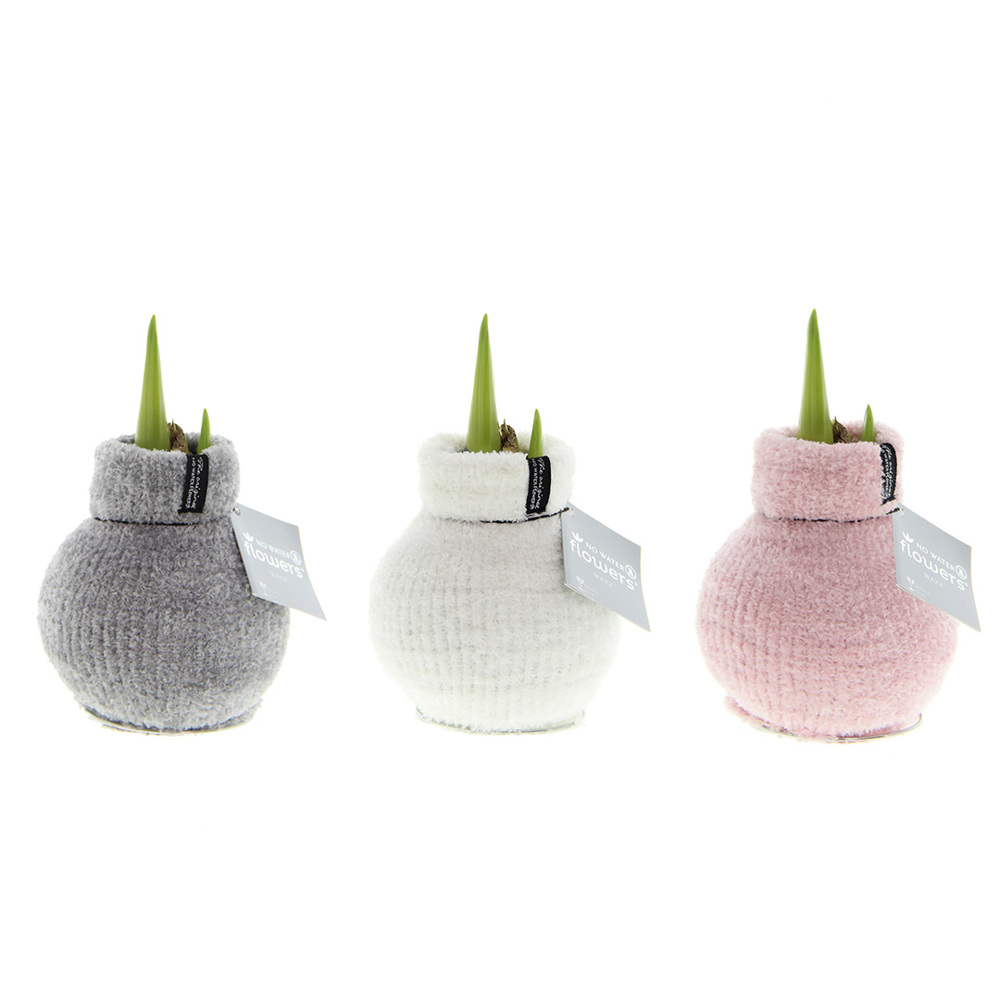 No Water Flowers® - Fashionz Cozy Fluffy mix