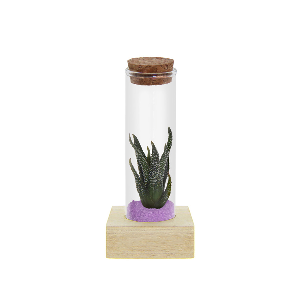 Tiny Treasurez® - Single tube & wood - Paars
