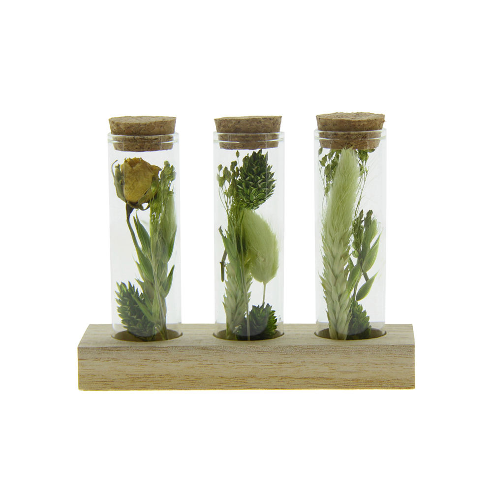 Dried Flowers - Trio tube & wood - groen