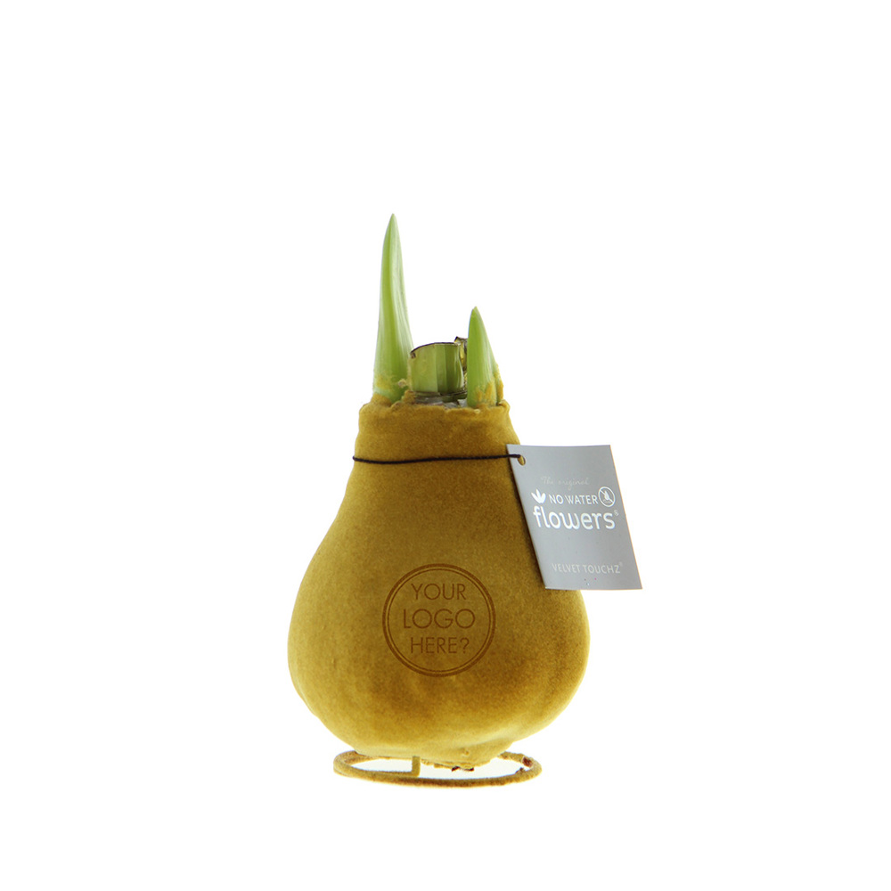 No Water Flowers® - Velvet Touchz® - Goud