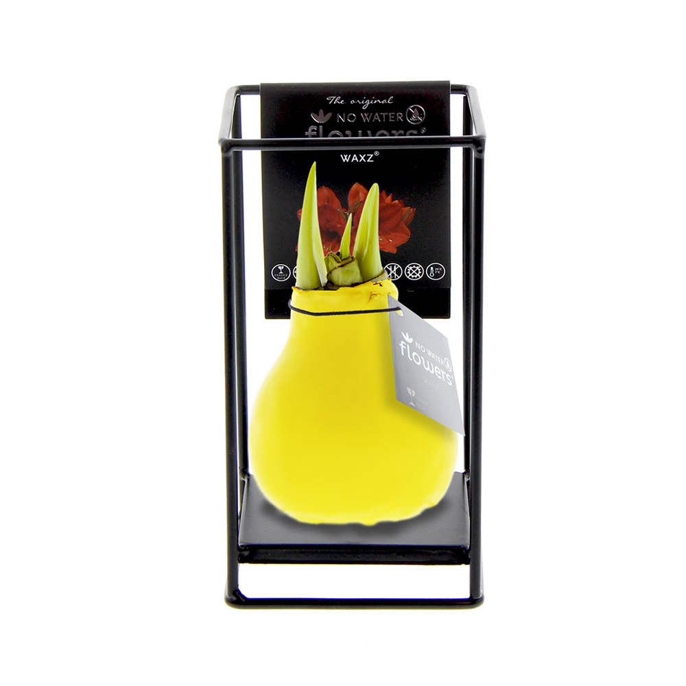 No Water Flowers® - Formz industrial - Geel