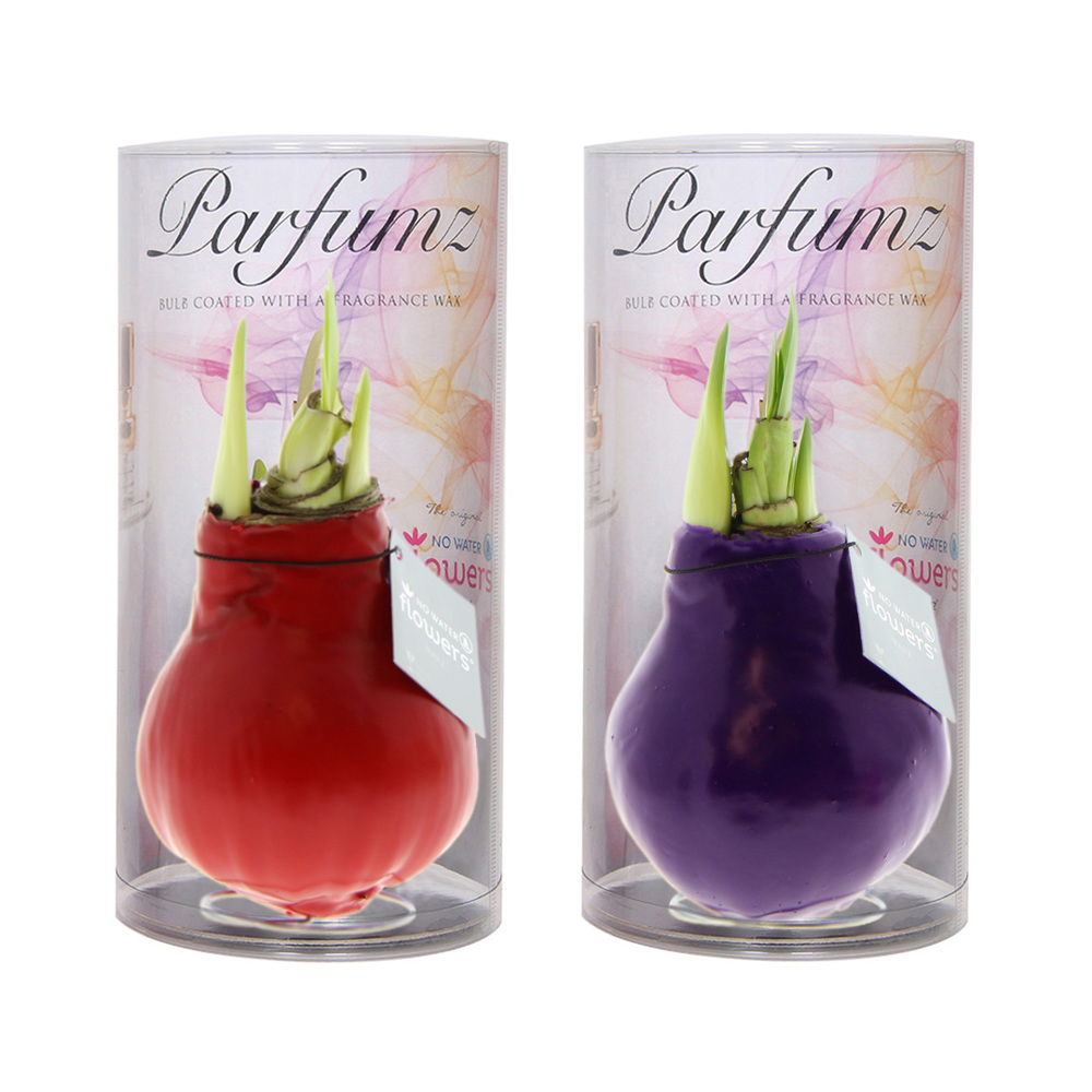 No Water Flowers® - Parfumz, In luxury box, Cherry (rood)