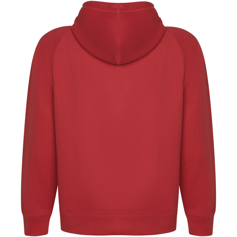 Vinson 300 g/m² biologisch katoenen unisex hoodie