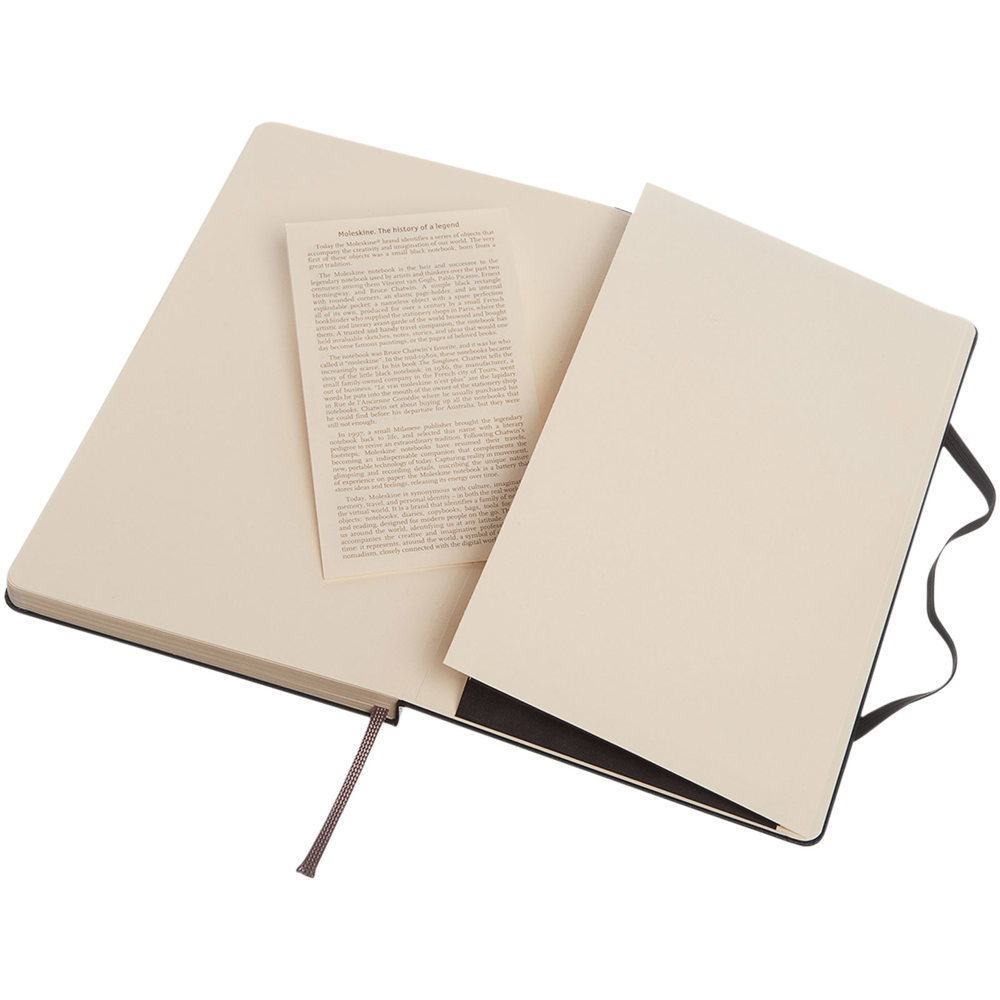Moleskine Classic L hardcover notitieboek - gestippeld