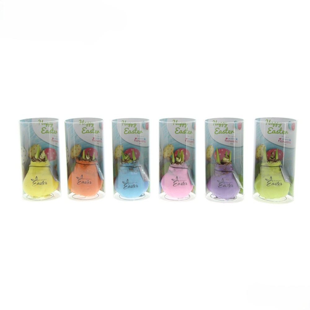 No Water Flowers® - Printz Happy Easter mix, In giftbag