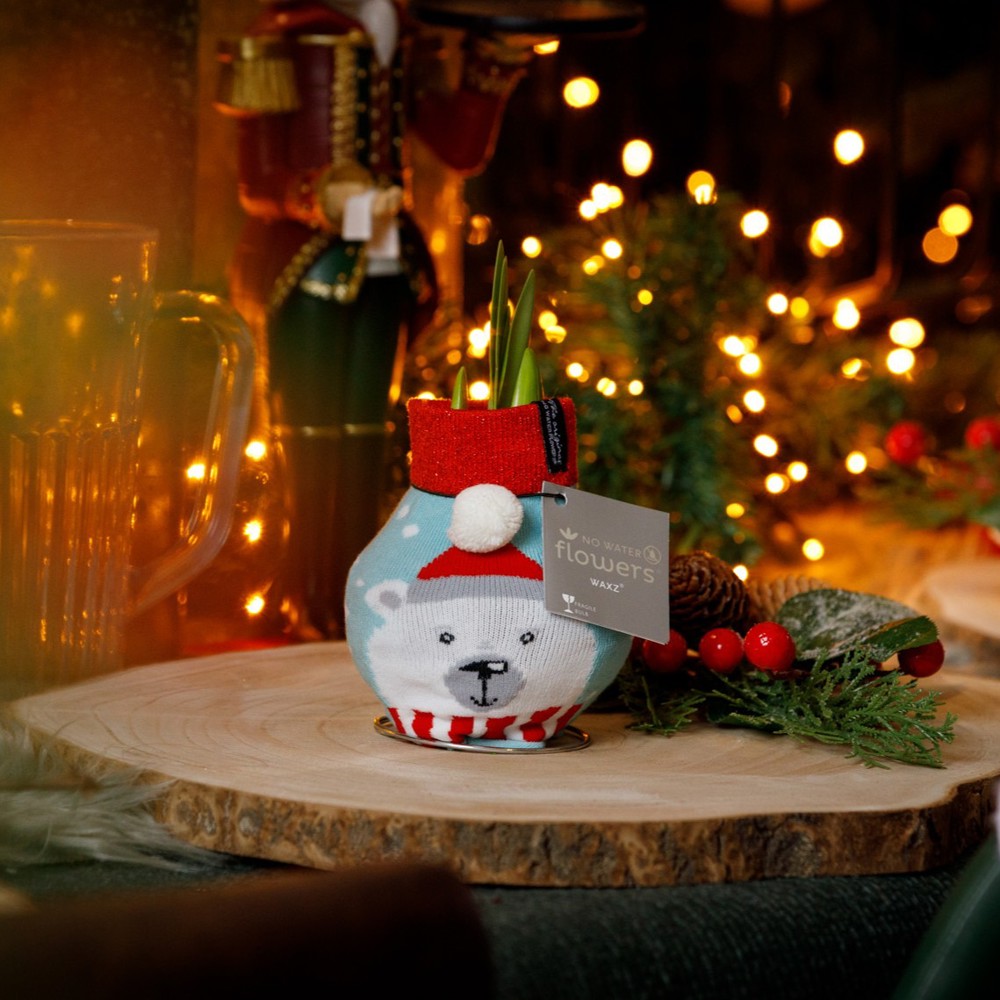 No Water Flowers® - Fashionz Xmas Silly mix, In cilinder