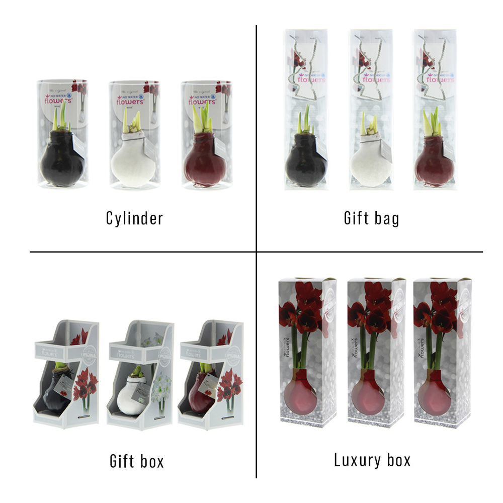 No Water Flowers® - Waxz® Colours, In giftbag, Pastel groen