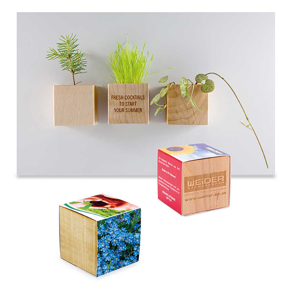 Houten plantenset magneet met zaden - individueel