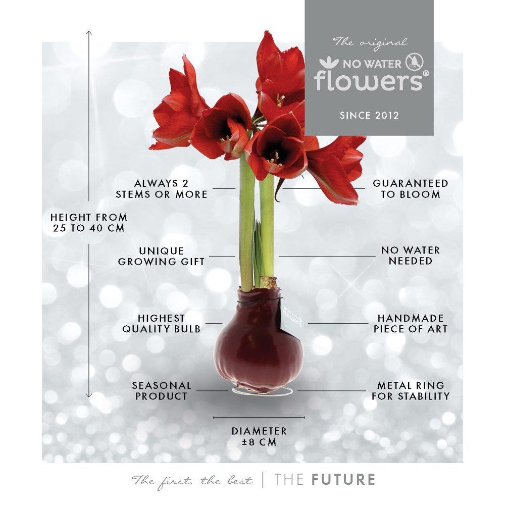 No Water Flowers® - Formz industrial, In giftbag, Donkerblauw