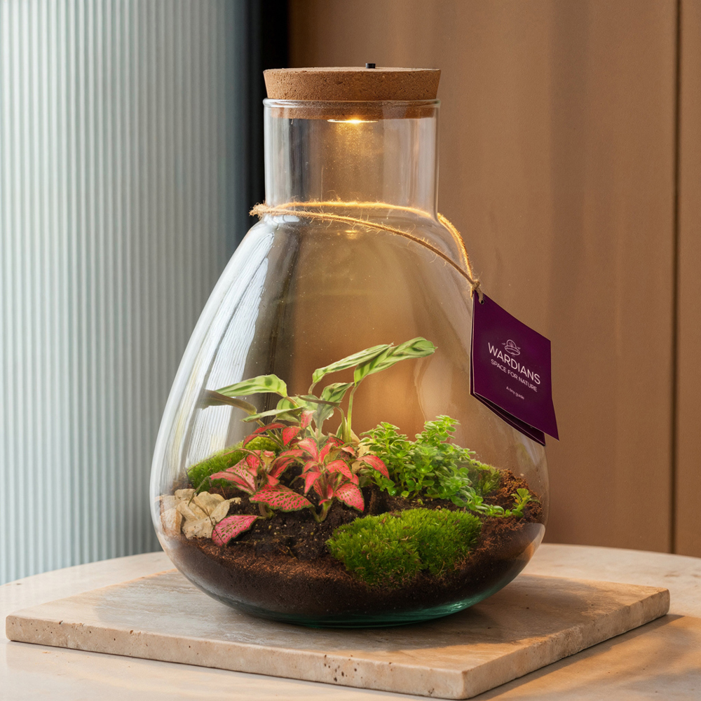 Wardians® Ecosystem - Erlenmeyer large + LED, Zonder verpakking