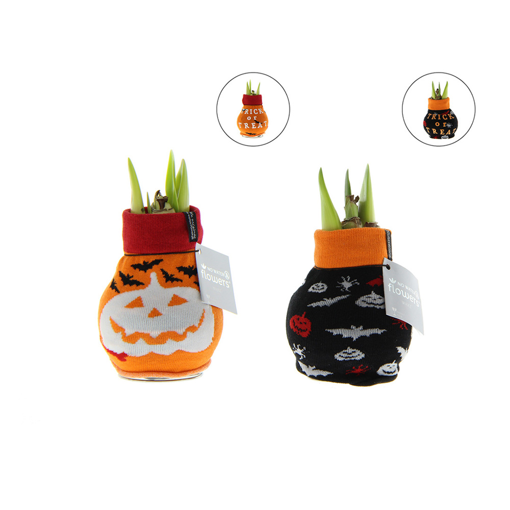 No Water Flowers® - Fashionz Halloween mix