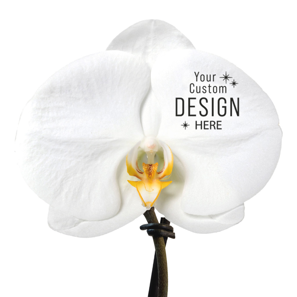 Message Printz® - Singolo Orchidee, In giftbox
