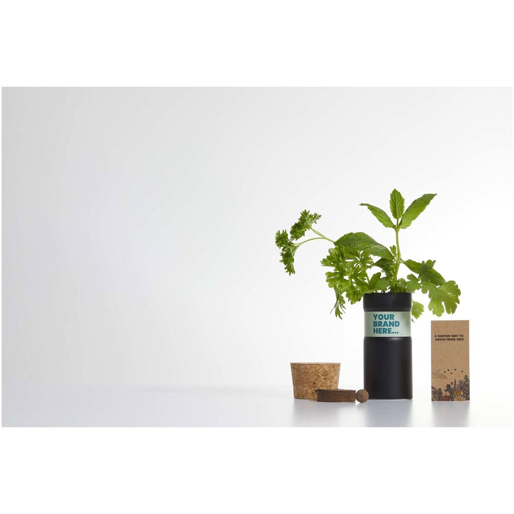 Hey Pots tuin voor op het bureau met bloemenmix