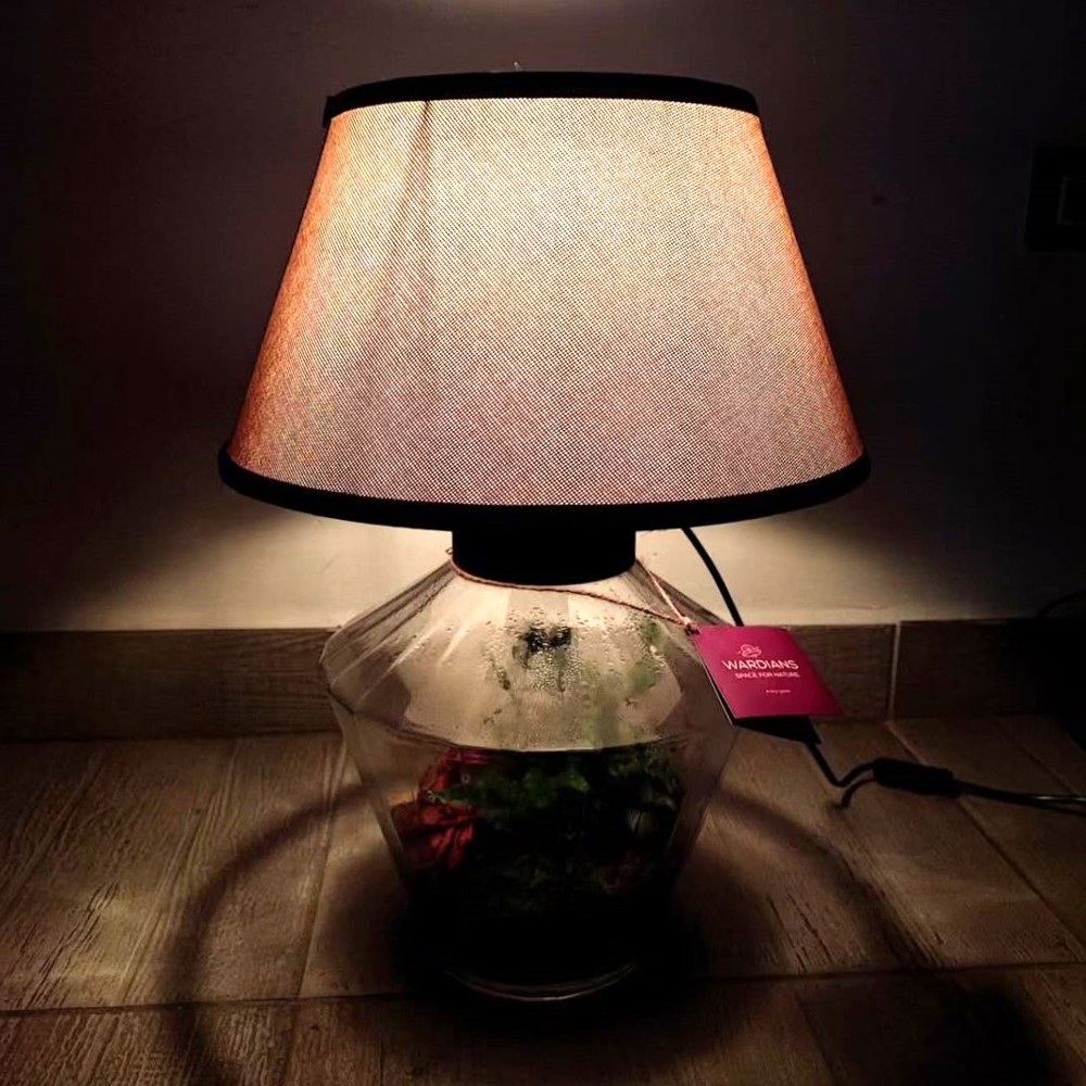 Wardians® Ecosystem - Lampshade