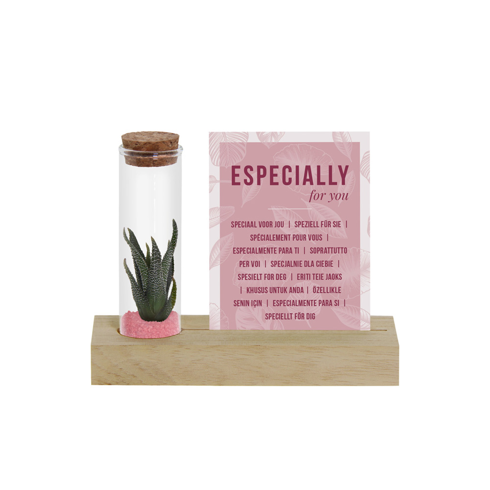 Tiny Treasurez® - Cardholder & tube - Licht roze