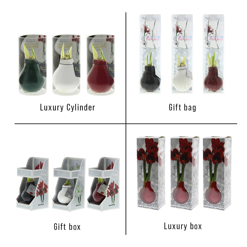 No Water Flowers® - Printz Wonderful Xmas mix, In giftbox