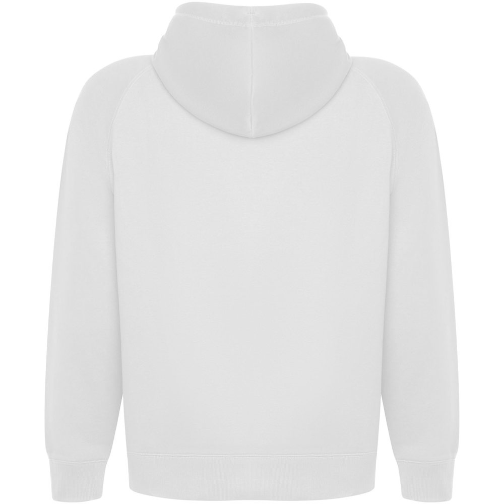Vinson 300 g/m² biologisch katoenen unisex hoodie