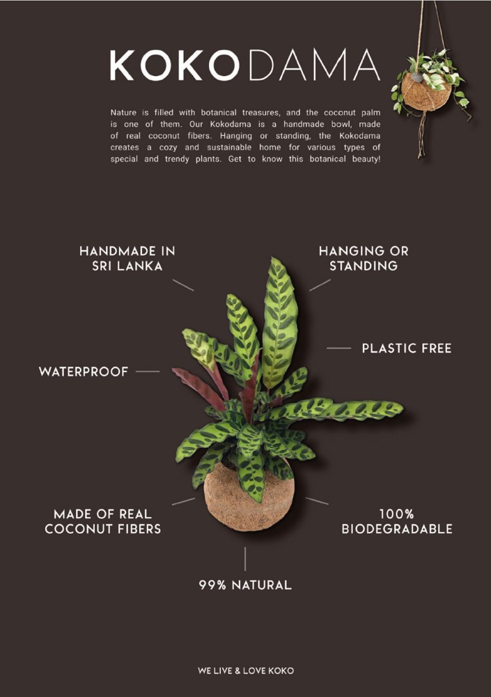 Kokodama® - Industrial easy care mix (S), In giftbox