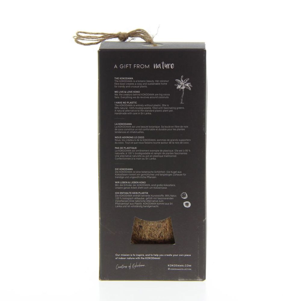 Kokodama® - Industrial easy care mix (S), In giftbox