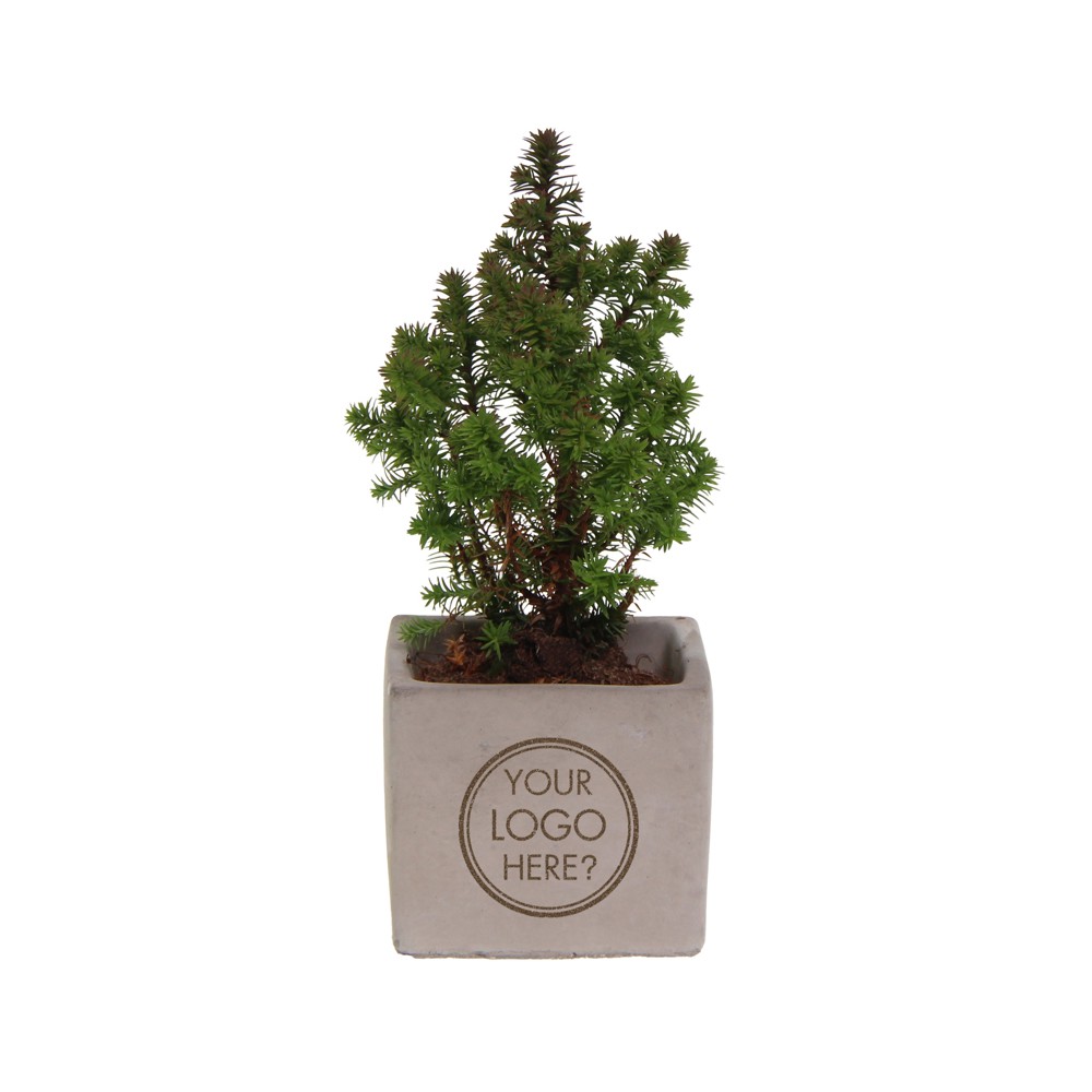 Congreet® plantpots small - Christmas edition