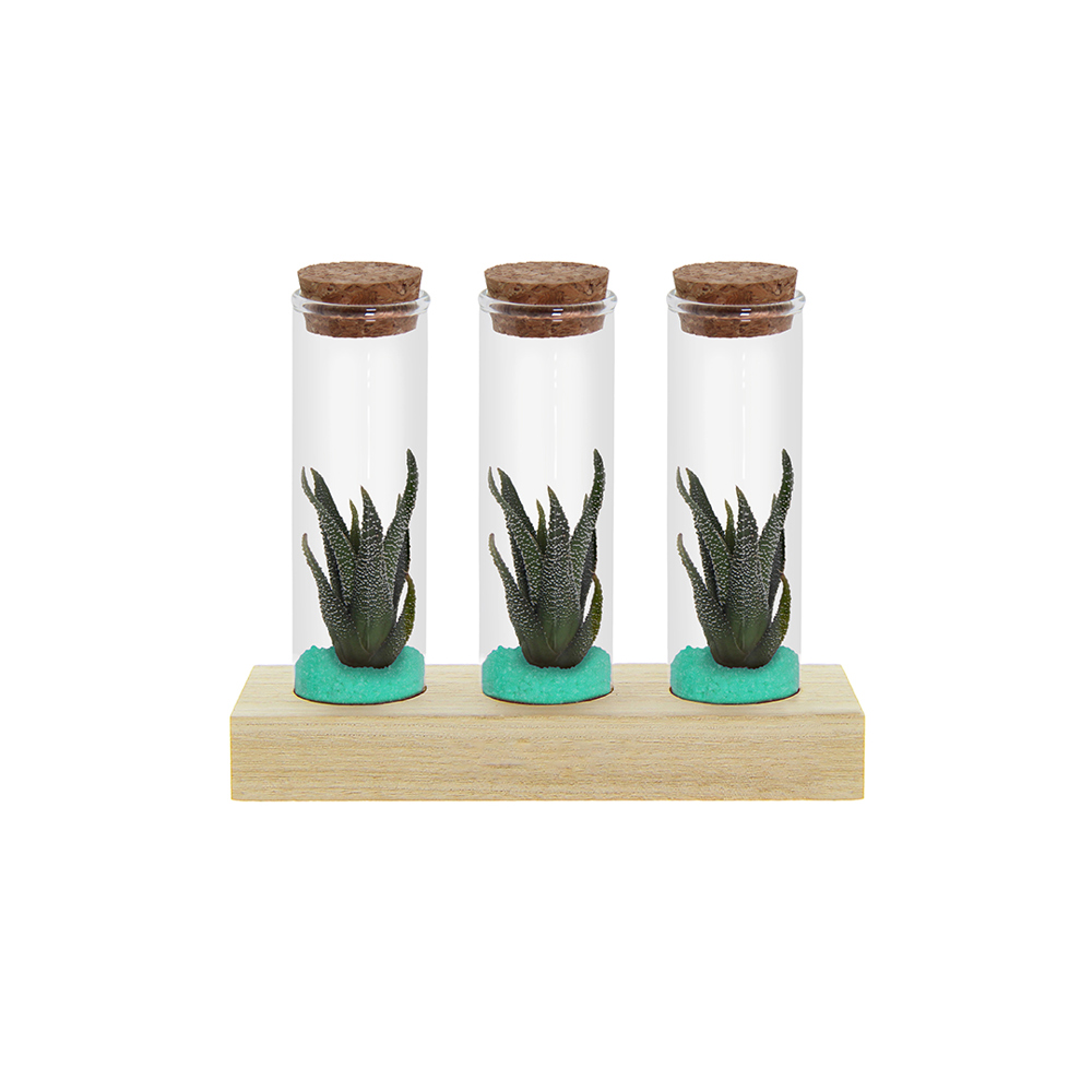 Tiny Treasurez® - Trio tube & wood - Turquoise