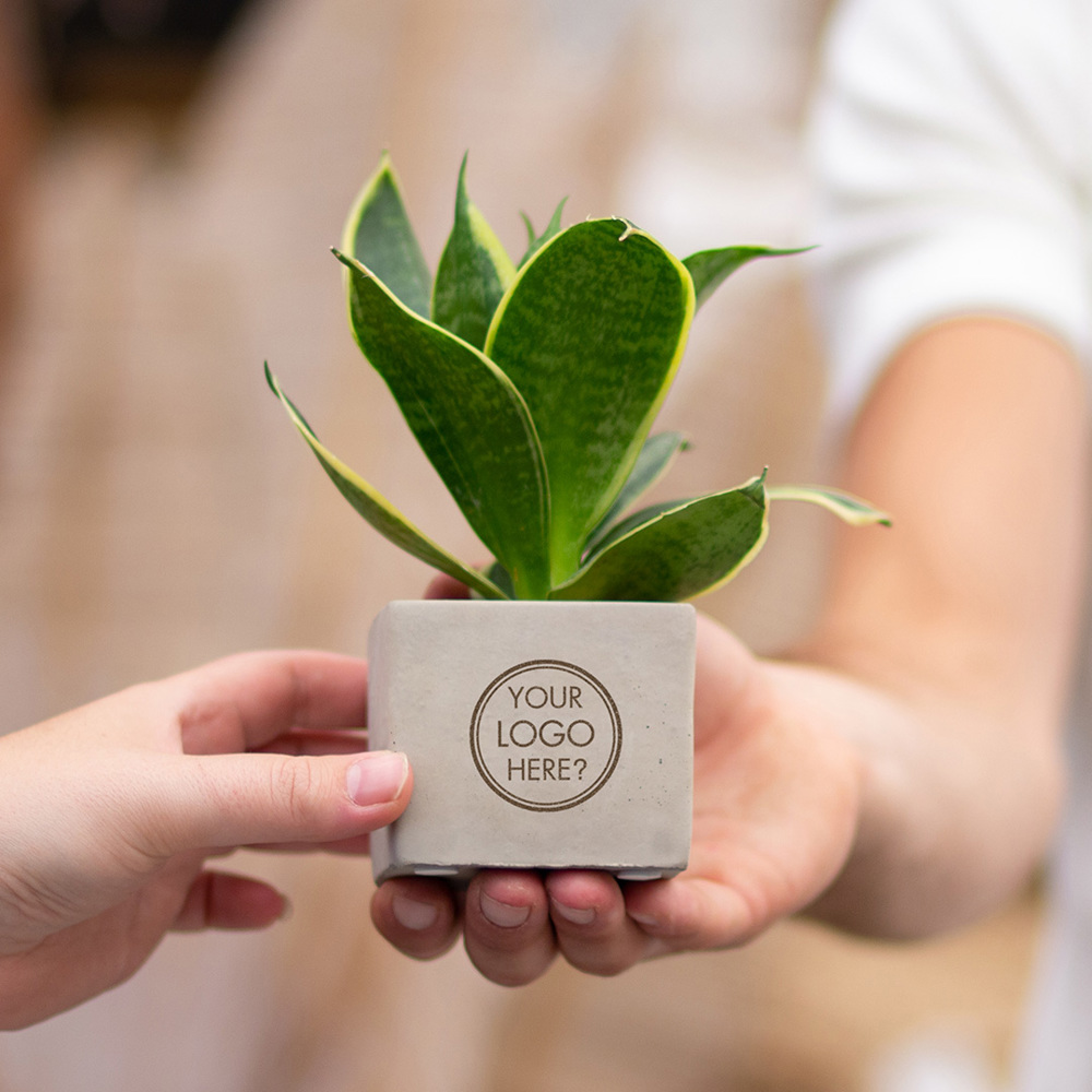 Congreet® plantpots small, In giftbox