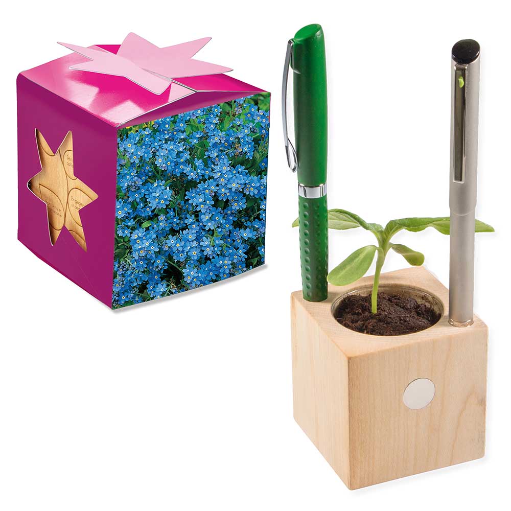Houten pennenbakje star-box met zaden - individueel