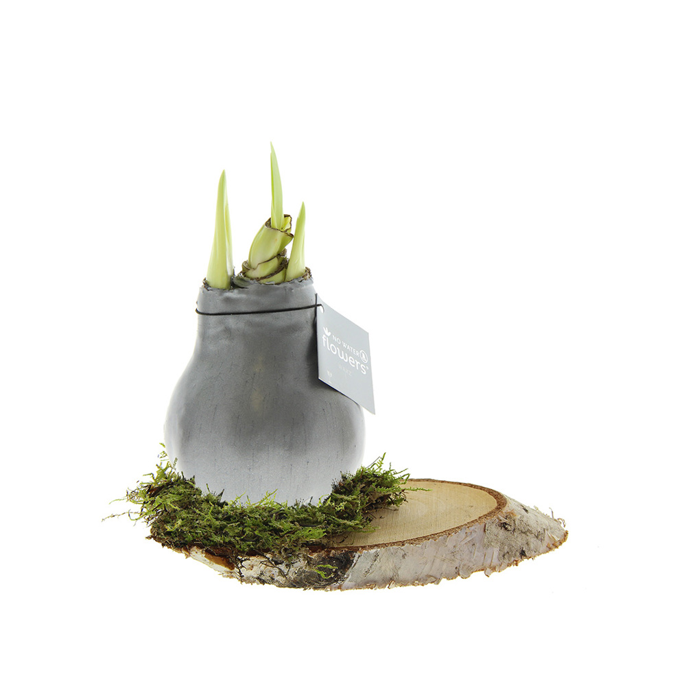 No Water Flowers® - Waxz® on wood - zilver