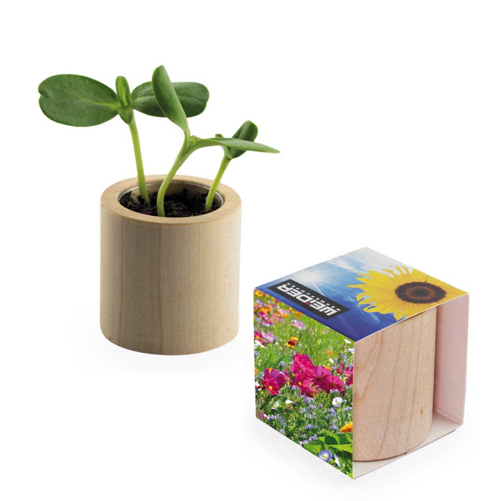 Houten plantenset rond met zaden - Zomerbloemen mix, rondom lasergravure