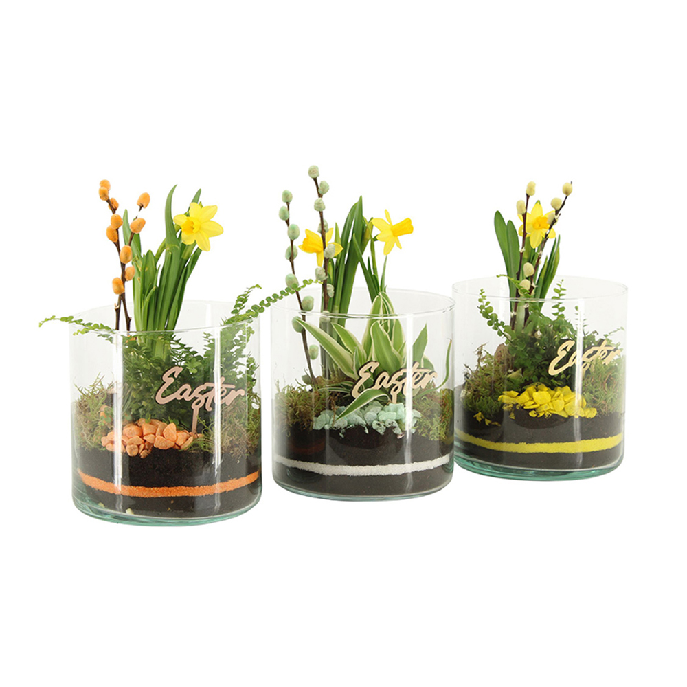 Easter glass large - Narcis