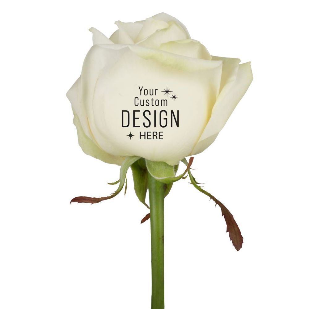 Message Printz® - Roos - Wit