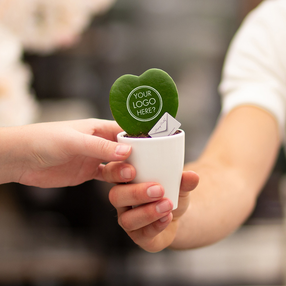 Message Printz® - Hartjesplant, Zonder verpakking