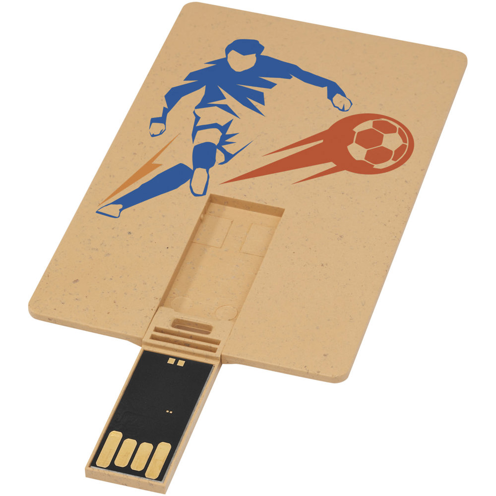Rechthoekige afbreekbare creditcard USB