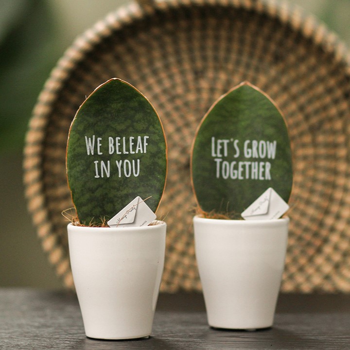 Message Printz® - Baby leaf in giftbox, In giftbox