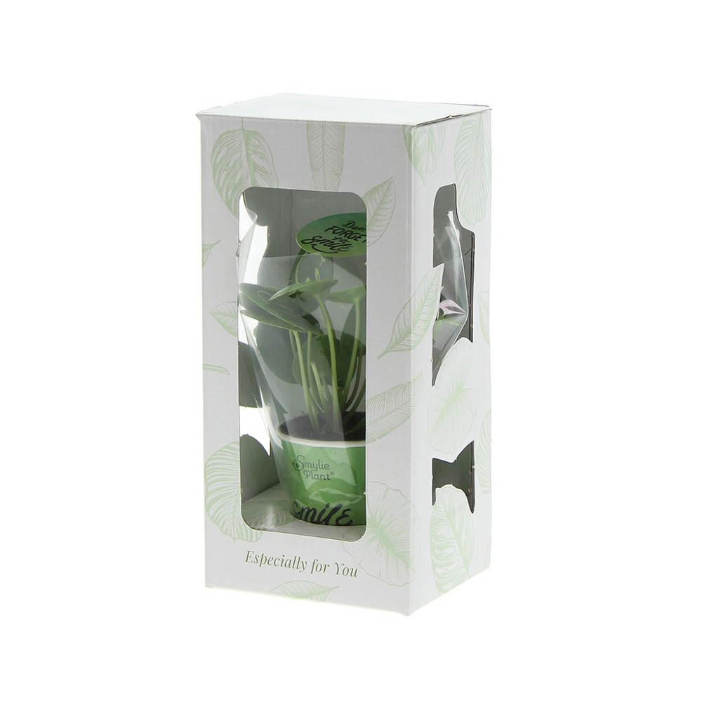 Smylieplant® - Happy in papercup (small), In giftbox